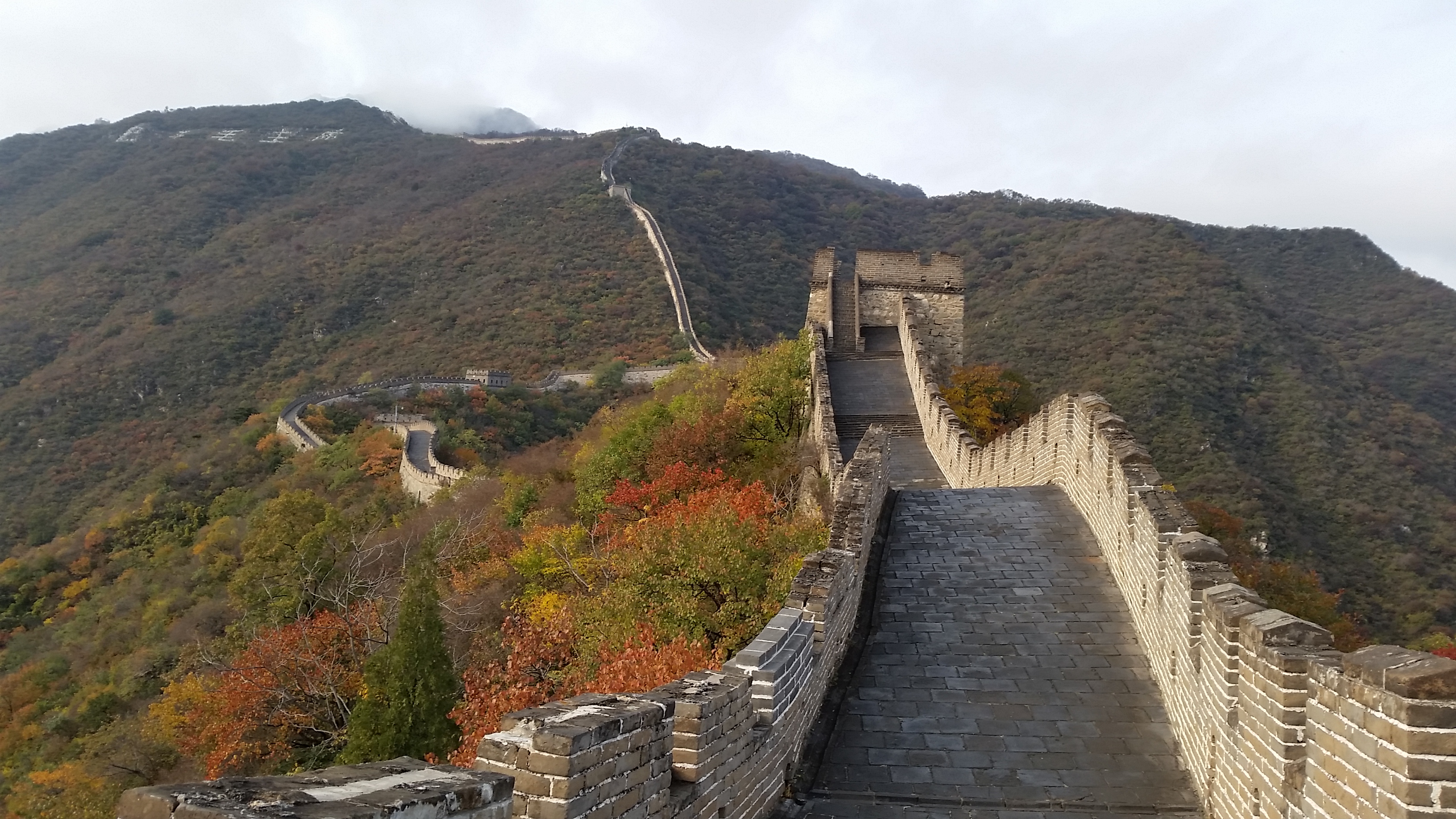 李鸿飞