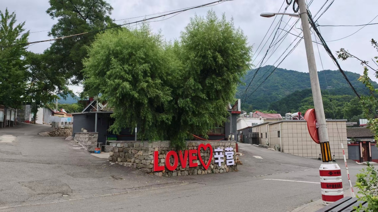 怀柔板栗
