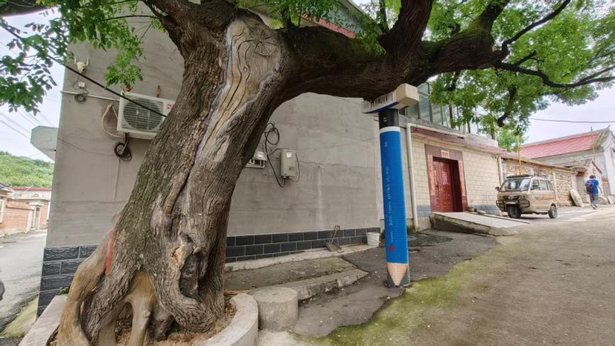 艾草制品
